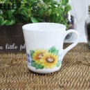 키친썬플라워 이미지