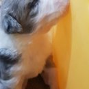 미스터앤 미세스멍 원주점 이미지