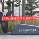 이 하얀바다 | 강릉여행 강원도 가볼만한곳, 안개 속 낭만을 걷는 안목커피거리
