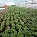 둘리농장 이미지