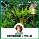 활인힐링센터 | 문화도시 노원정원지원센터 탐방 후기 궁금하시죠?