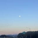 세븐일레븐 강릉포남중앙점 | 남칭구랑 눈없는 겨울 강릉여행🧣 [ 강릉 맛집 뿌수기...머슬비치💪🏻 / 중앙시장 맛도링!! / 길감자...