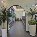 고등어명품이되다 이미지