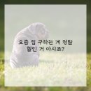 꿀공인중개사사무소 이미지