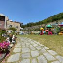 킨더숲유치원 이미지