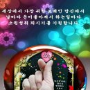 하루 이미지