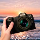 주식회사E1 | 미러리스 카메라 캐논 EOS R8 카메라 추천 실사용 후기