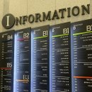 로하핏 스튜디오 이미지