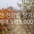 협성대평휴포레공인중개사사무소 이미지