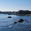 솔솔펜션 이미지