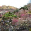 솔의정원 이미지