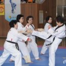 인지 태권도 이미지