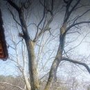 의령 운곡재 이미지