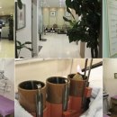 본디올한의원 이미지