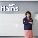 하인스개발