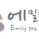 에밀리펫 이미지