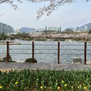 연지공원 이미지