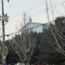 고서약국 | 가을은 고독의 계절 🍁🍂