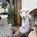 더리터 군산월명점 이미지