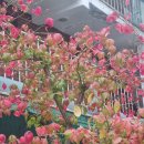 푸른나무내과의원 이미지