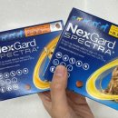 손수약국 이미지