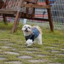 이쁘개즐겁개 이미지