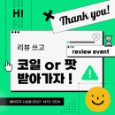 모라전자담배 이미지