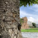 오가낭뜰근린공원(1~3동) | 세종시 <인라인, 풋살, 농구, 족구, 게이트볼> 한곳에서 즐겨요 -오가낭뜰공원 생활체육마당-