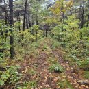 버스정류장 05-271 이미지