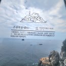 희망내음어린이공원 (옥외1) | 2024년 6월 부산 영도 태종대 수국 꽃구경 개화현황 ♡ 다누비 열차 후기