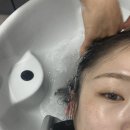 Ciel헤어 | 두피클리닉 해야하는 이유 탈모 미리 예방 운정 헤어샵 추천 메르시엘 파주운정 (희소쌤 강추)