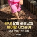 독산자연공원 화장실 | 상암 하늘공원 아이랑 자연놀이, 매점·화장실·황토볼 지압로 후기