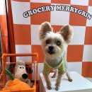 그로서리 메리그린 이미지