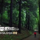 죽성여인숙 네이버블로그