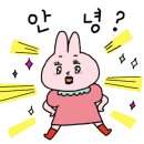 별빛뜰애 이미지