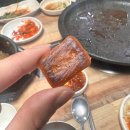 소가네오리마을 | [대전 비래동 오리로스스/오리탕 맛집] 소가네오리마을