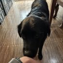 경인교대입구역 이미지