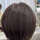시에라헤어 네이버블로그