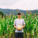 동춘농장 이미지