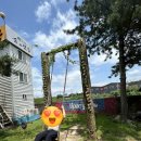 천지천우 이미지