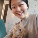 미나스테이