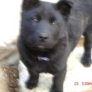 비룡 - 김해시 김해대로 75 | 비룡