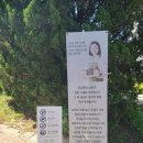 순창요양병원 | 순창 대형 베이커리 카페 베르자르당 빵 종류