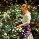 Flower Garden 이미지