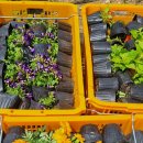 무전동 주민센터 이미지