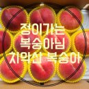 흥대농장 네이버블로그