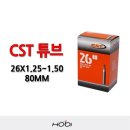 씨에스티 이미지