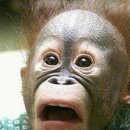 밥한끼 술한잔 이미지