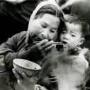 자갈치와 어머니 이미지