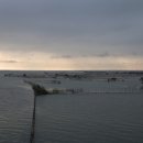 바다 FISH 이미지